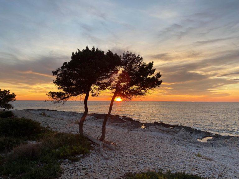 Read more about the article Dugi Otok – nasze miejsce w Chorwacji.